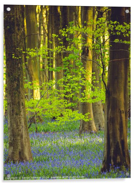 Sunlit leaves and Bluebells Acrylic by Simon Johnson