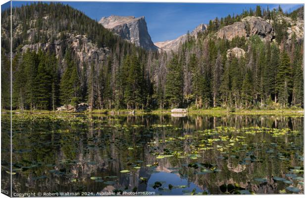 Late Summer Lily Pads on Nymph Lake, in Rocky Mountain National Park, Colorado. Canvas Print by Robert Waltman