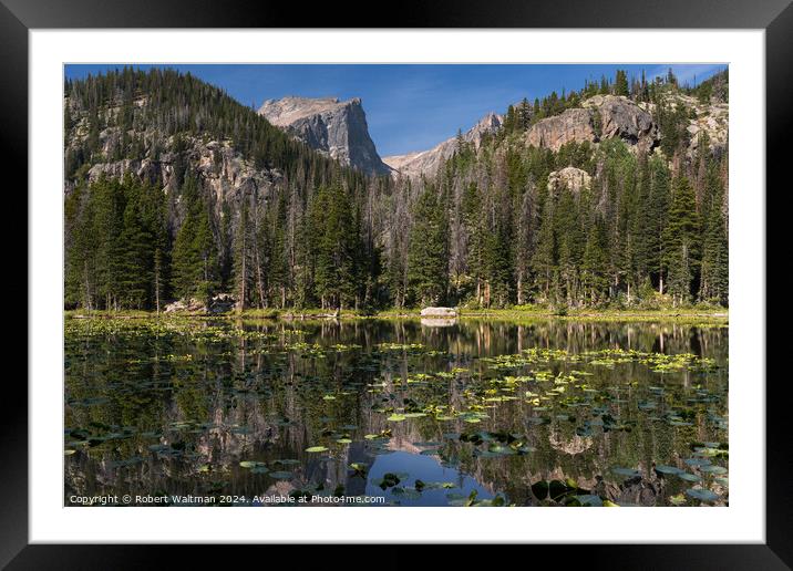 Late Summer Lily Pads on Nymph Lake, in Rocky Mountain National Park, Colorado. Framed Mounted Print by Robert Waltman