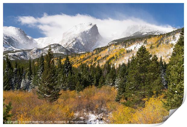Early Fall Storm with Changing Aspen Trees at Rocky Mountain National Park Print by Robert Waltman