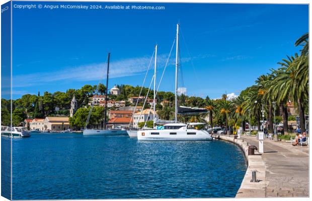 Palm-lined promenade at Cavtat in Croatia Canvas Print by Angus McComiskey