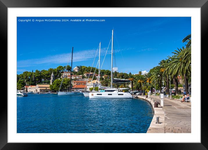 Palm-lined promenade at Cavtat in Croatia Framed Mounted Print by Angus McComiskey
