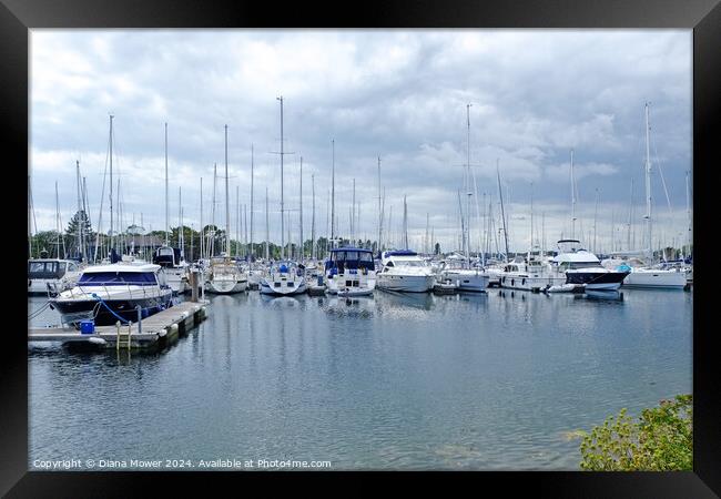 Chichester Marina Sussex Framed Print by Diana Mower