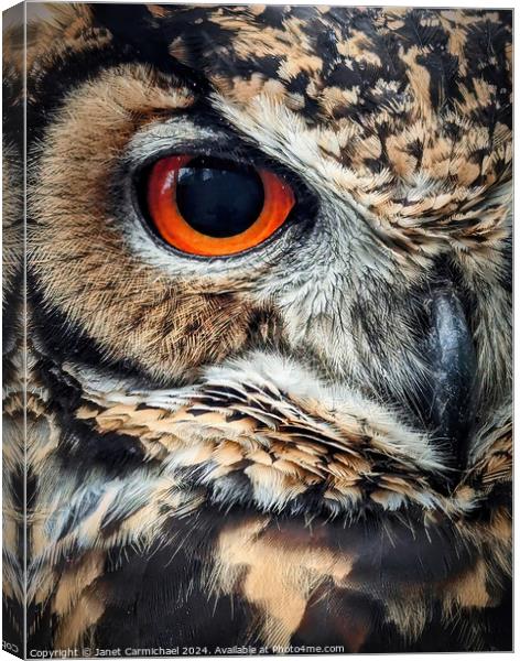 Portrait of an Owl Canvas Print by Janet Carmichael