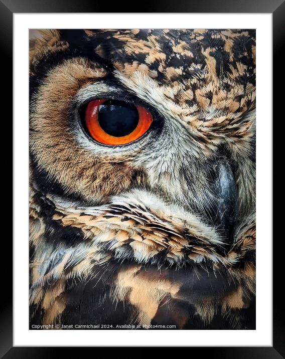 Portrait of an Owl Framed Mounted Print by Janet Carmichael
