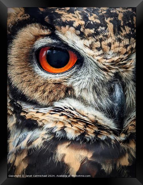 Portrait of an Owl Framed Print by Janet Carmichael