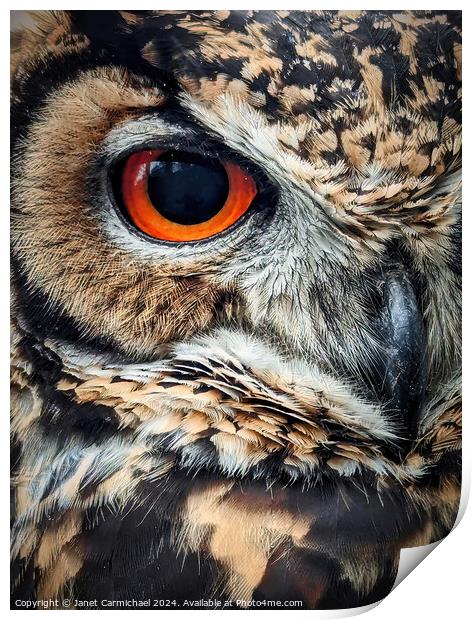 Portrait of an Owl Print by Janet Carmichael