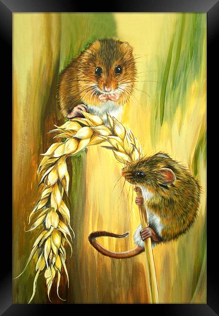 Harvest Mice Framed Print by Katherine Booth - Jones