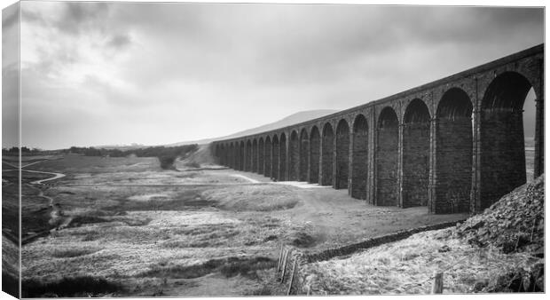 Ribblehead Viaduct Monochrome Canvas Print by Tim Hill