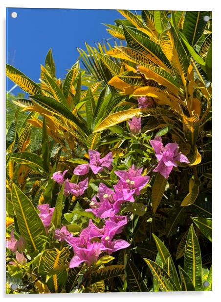 Caribbean Flora Acrylic by Sheila Ramsey