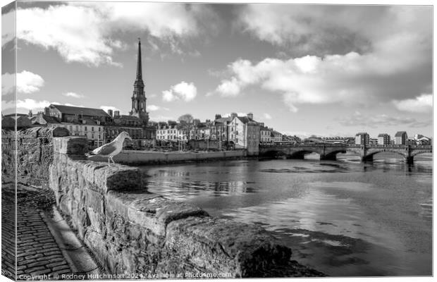 Ayr town view Canvas Print by Rodney Hutchinson