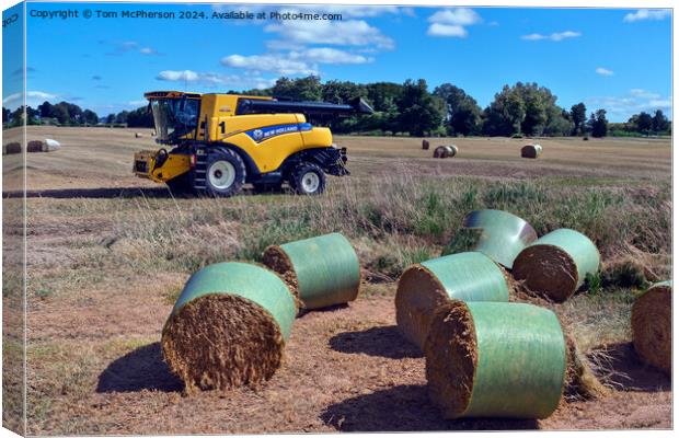 Moray Harvest Canvas Print by Tom McPherson