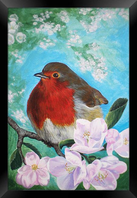 Spring Robin Framed Print by Katherine Booth - Jones