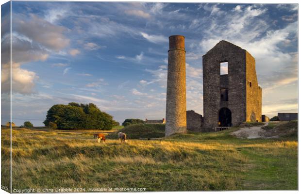 The Magpie Mine Canvas Print by Chris Drabble