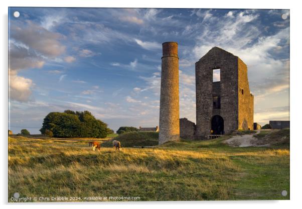 The Magpie Mine Acrylic by Chris Drabble