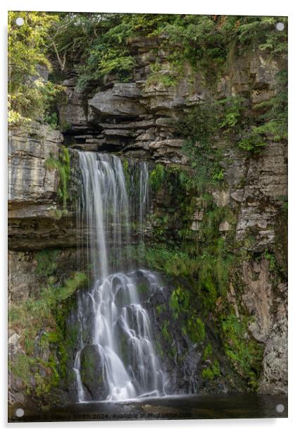 Ingleton Waterfall Trail Acrylic by Donna Smith