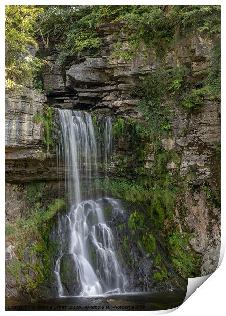 Ingleton Waterfall Trail Print by Donna Smith