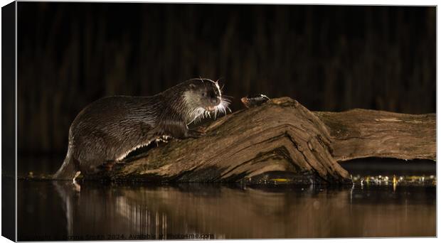 Wild Otter dining Canvas Print by Donna Smith