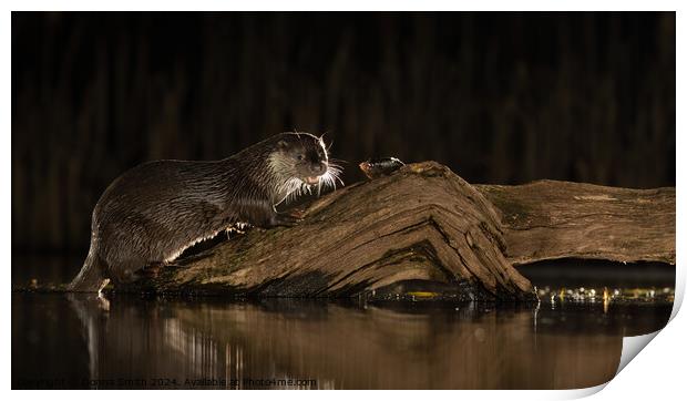 Wild Otter dining Print by Donna Smith