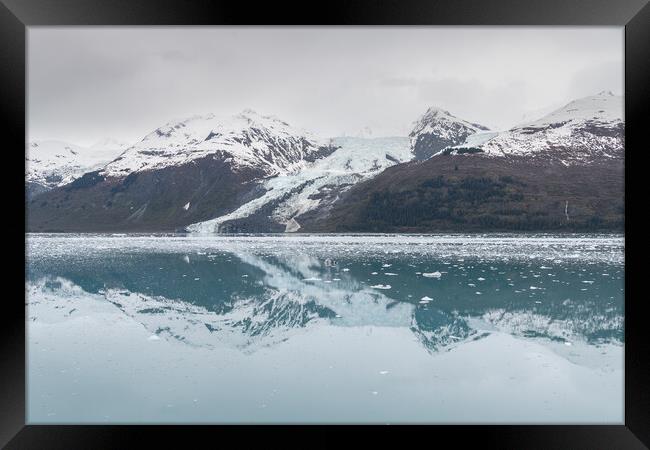 A small Tidal Glacier reflected in the calm waters of College Fjord, Prince William Sound, Alaska, USA Framed Print by Dave Collins