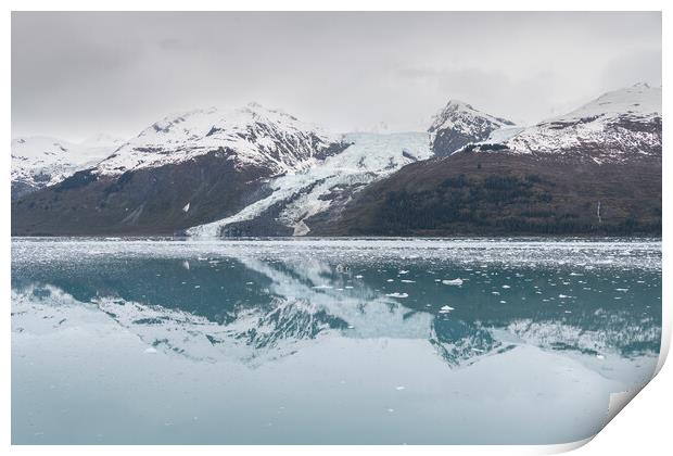 A small Tidal Glacier reflected in the calm waters of College Fjord, Prince William Sound, Alaska, USA Print by Dave Collins