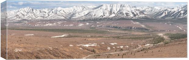 Panorama of Denali National Park from the Savage River Alpine Trail, Alaska, USA Canvas Print by Dave Collins