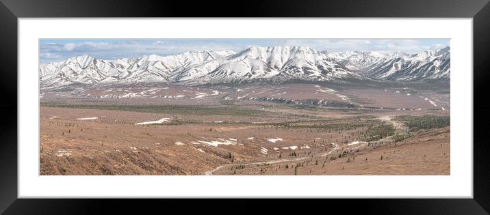 Panorama of Denali National Park from the Savage River Alpine Trail, Alaska, USA Framed Mounted Print by Dave Collins