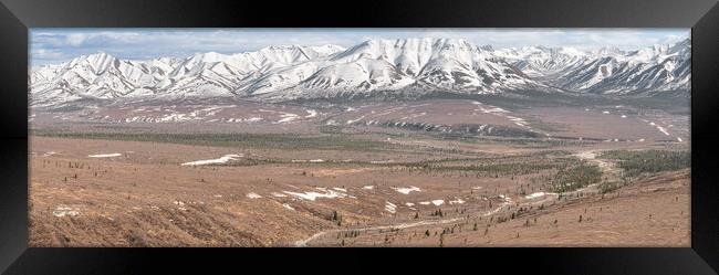 Panorama of Denali National Park from the Savage River Alpine Trail, Alaska, USA Framed Print by Dave Collins
