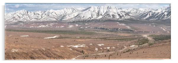Panorama of Denali National Park from the Savage River Alpine Trail, Alaska, USA Acrylic by Dave Collins