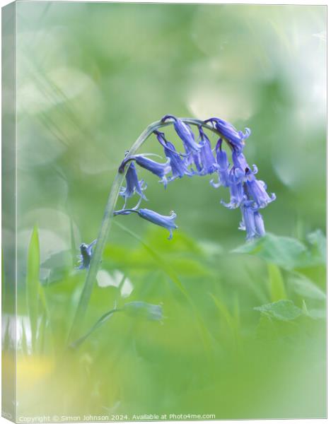 A close up of a bluebell  Canvas Print by Simon Johnson