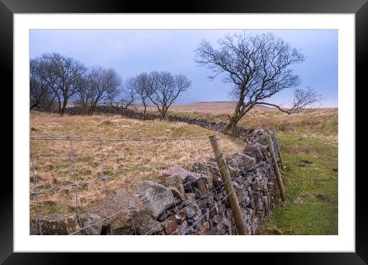 Ribblehead Stone Wall Framed Mounted Print by Steve Smith