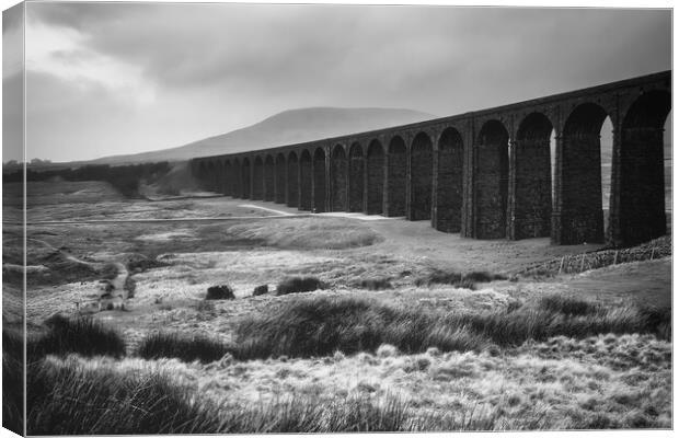 Ribblehead Viaduct Black and White Canvas Print by Tim Hill