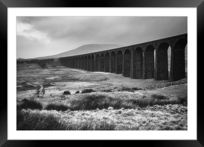 Ribblehead Viaduct Black and White Framed Mounted Print by Tim Hill
