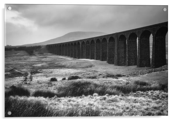 Ribblehead Viaduct Black and White Acrylic by Tim Hill
