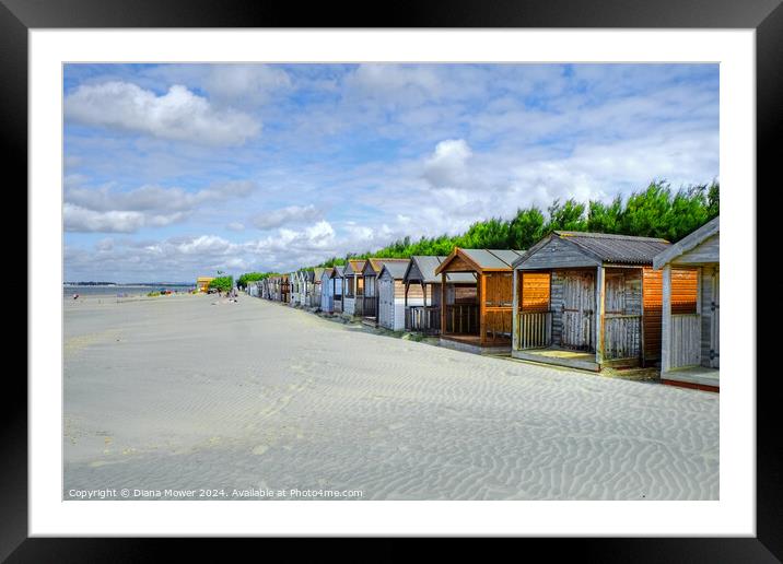 West Wittering beach Huts   Framed Mounted Print by Diana Mower