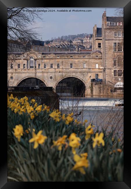 Spring Daffodil's in Parade Gardens Bath  Framed Print by Duncan Savidge