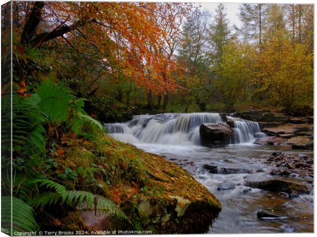 Autumn Waterfall Pont Cwmfedwen, Wales Canvas Print by Terry Brooks
