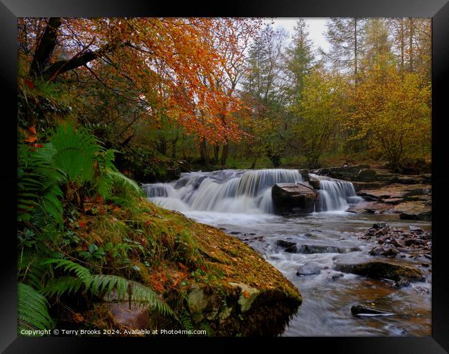 Autumn Waterfall Pont Cwmfedwen, Wales Framed Print by Terry Brooks