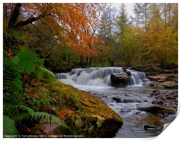 Autumn Waterfall Pont Cwmfedwen, Wales Print by Terry Brooks