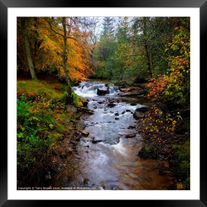 Pont Cwmfedwen Autumn Waterfall Framed Mounted Print by Terry Brooks