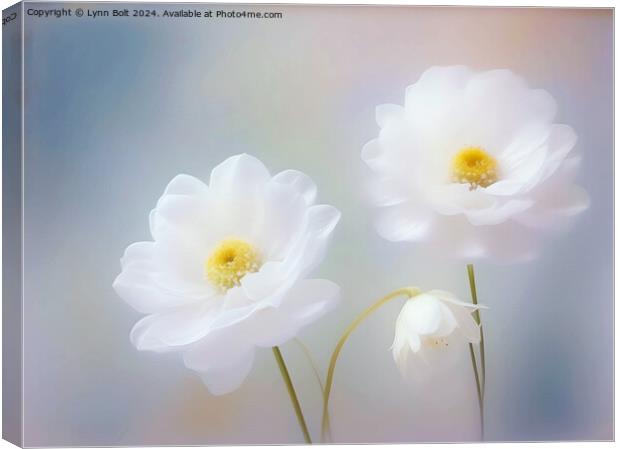 Three White Flowers Canvas Print by Lynn Bolt