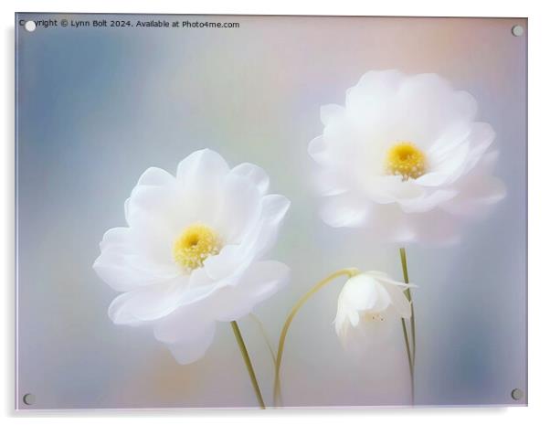 Three White Flowers Acrylic by Lynn Bolt