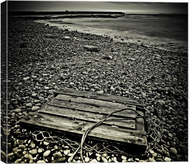 Washed Up Canvas Print by Tom Whitfield