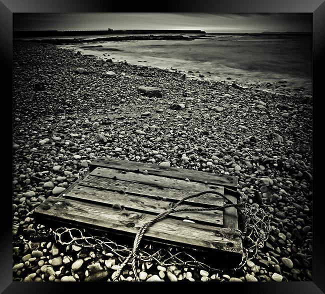Washed Up Framed Print by Tom Whitfield