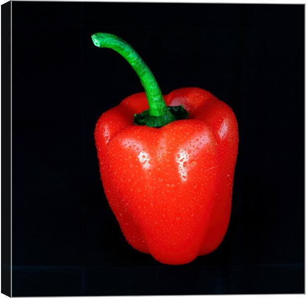 Red Pepper Canvas Print by Tom McPherson