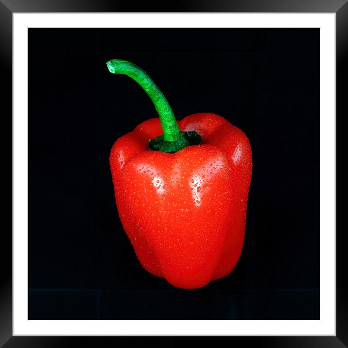 Red Pepper Framed Mounted Print by Tom McPherson