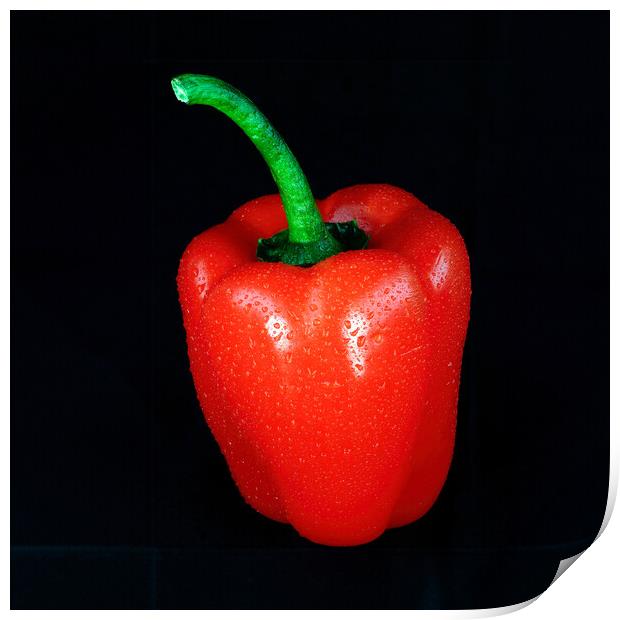 Red Pepper Print by Tom McPherson