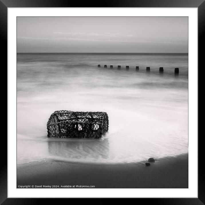 Washed Up On Cromer Beach Framed Mounted Print by David Powley