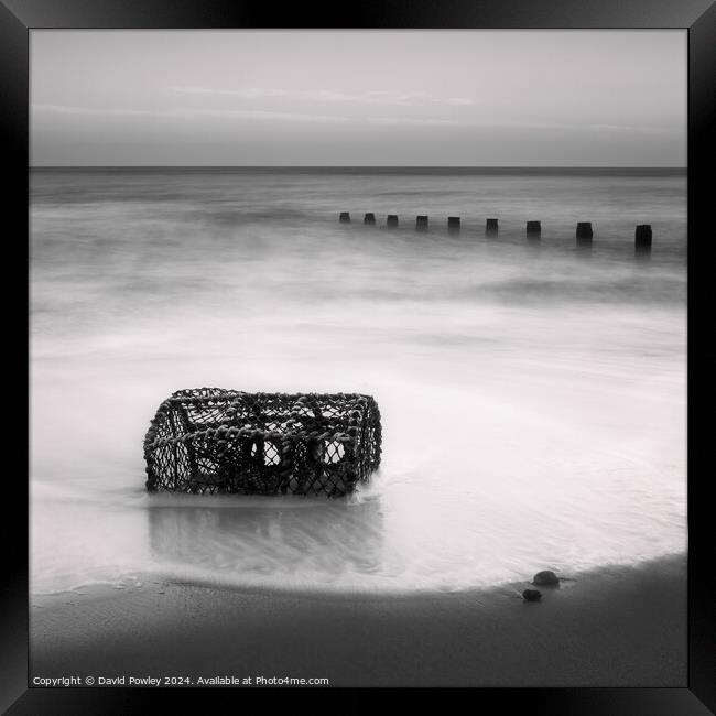 Washed Up On Cromer Beach Framed Print by David Powley