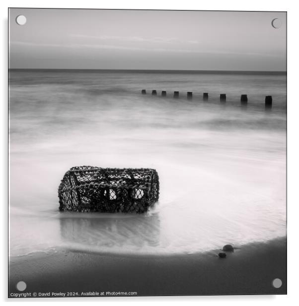 Washed Up On Cromer Beach Acrylic by David Powley